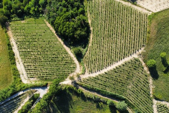 Cascina La Signorina - photo 5