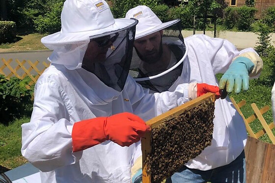 Journée Apiculture à Beaumes-de-Venise près d'Orange (84)