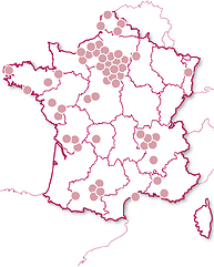 Cours de pâtisserie