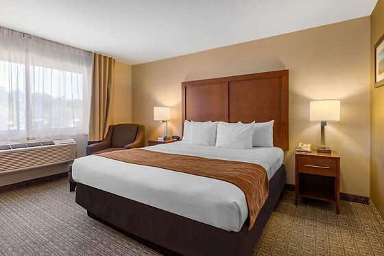 Online Booking EPS - photo 10
