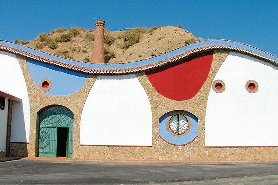 BODEGAS PAGO DE ALMARAES - photo 2