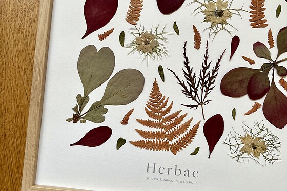 Herbae Atelier - Lyon - photo 0