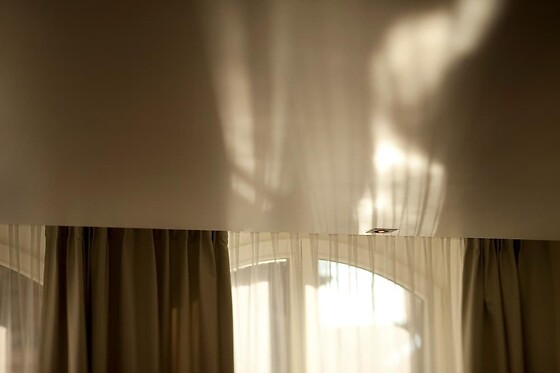 Online Booking EPS - photo 6