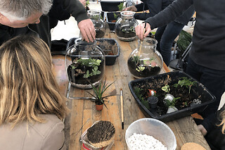 Atelier "Je crée mon terrarium" à Villejuif