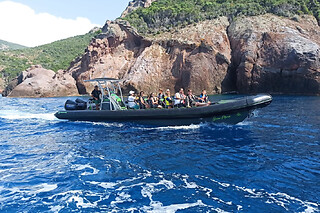 Promenade à Scandola en semi-rigide depuis Calvi