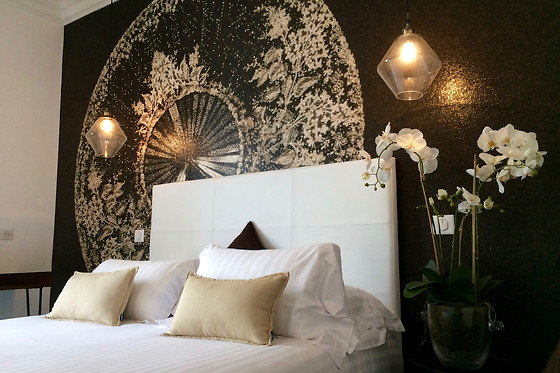 Hotel Villa Rose - photo 1