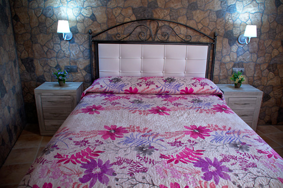CASA OLIVA - photo 2