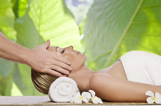 BIOTYSIS Beauté § Spa Urbain privatif - photo 4